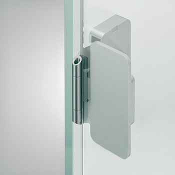 Glastür-Klebescharnier, mit sichtbarer Rolle, für Ganzglaskonstruktionen, Fuge 2 mm