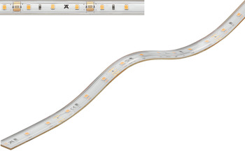 LED-Band im Silikonschlauch, Häfele Loox5 LED 2063 12 V 8 mm 2-pol. (monochrom)