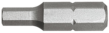 Standard SW-Bit, Innensechskant, Länge: 25 mm