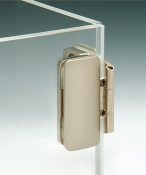 Glass Door Hinge For All Glass Constructions Inset Online At